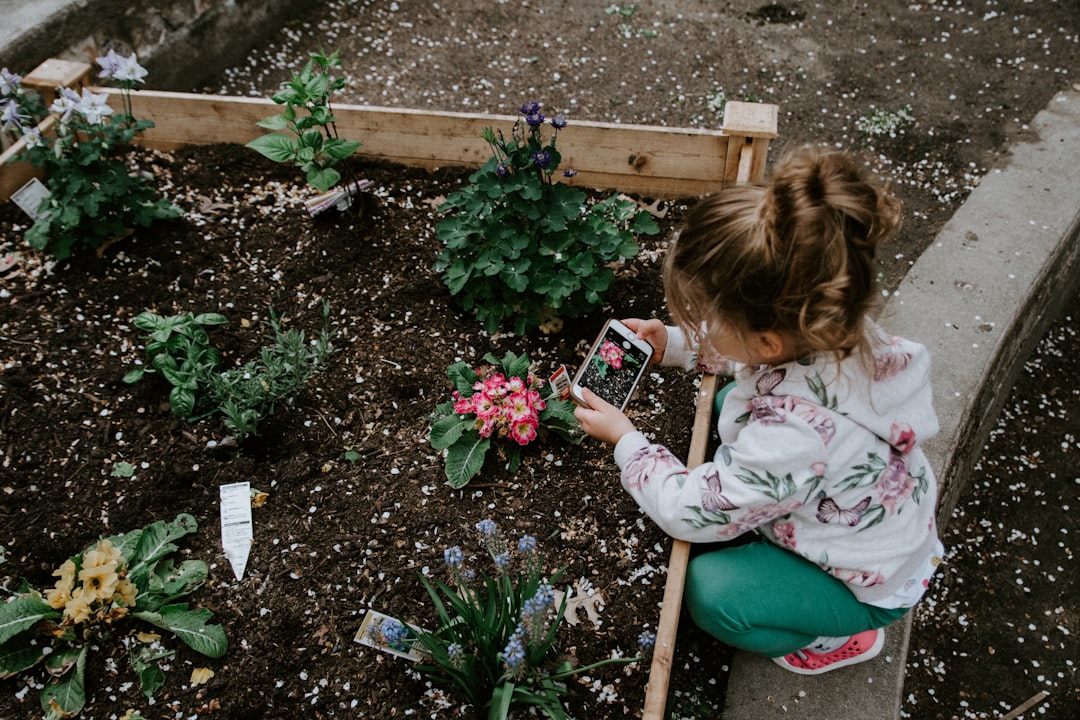 Best Smart Herb Gardens for Busy Cooks in 2025